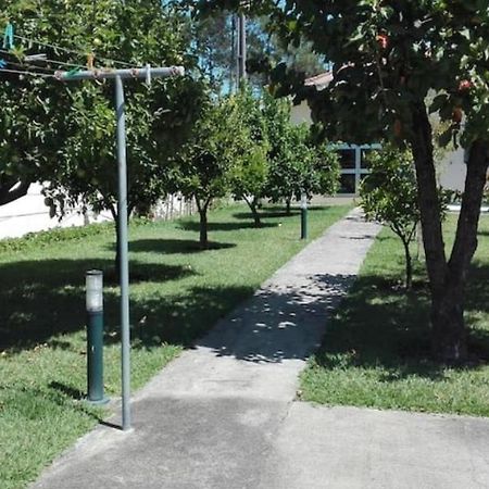 Casa Da Cavada Villa Caminha Kültér fotó